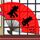 么么哒